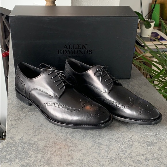 Allen Edmonds Modigliani Wingtip Oxford 